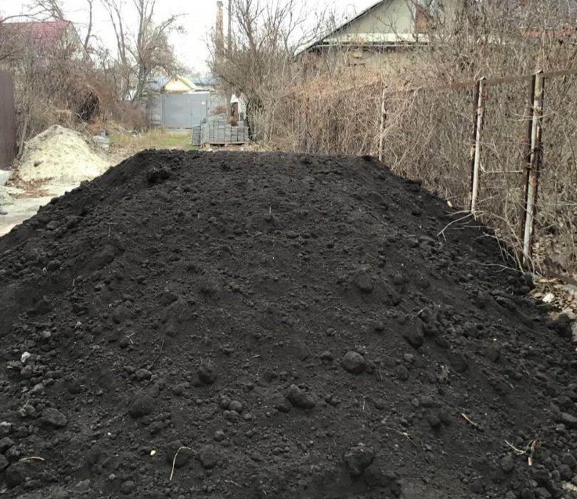 Чернозем плодородный