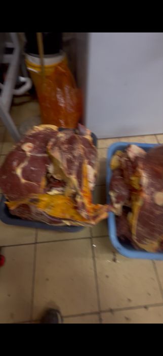 семиз кунажын кашар 3200 тг