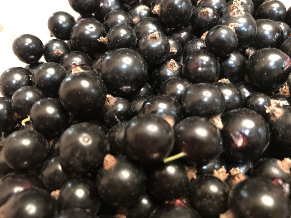 Смородина с сахаром