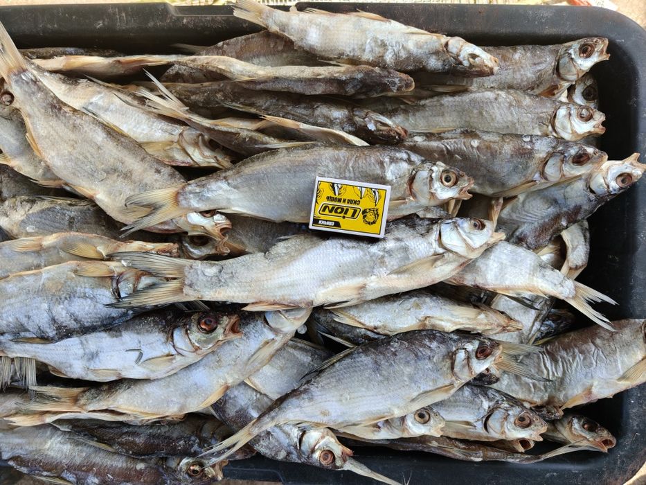 Вобла вяленая солёная