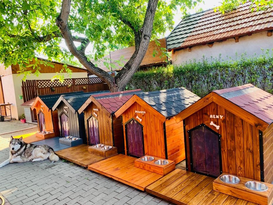 Cusca de caine premium cu încălzire pardoseală  livrare rapidă oriunde