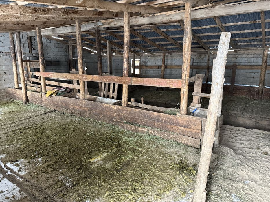 Продам ферму (фазенду)