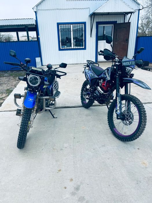 Hammer Wolf 72 300cc