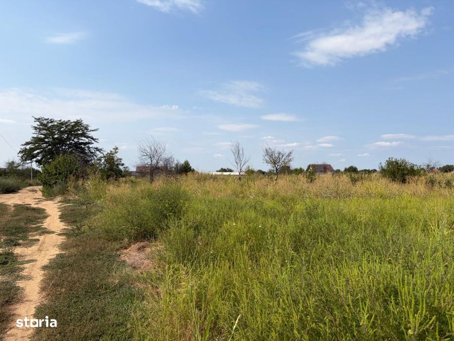Teren intravilan, 4.508 mp, dubla deschidere, zona Malu Mare