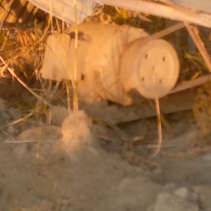 Гишт завод сотилади