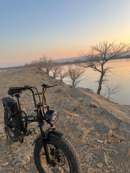 леопарт электро баик 1200ват