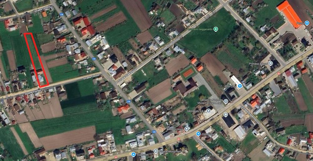 Casă de vânzare Arbore