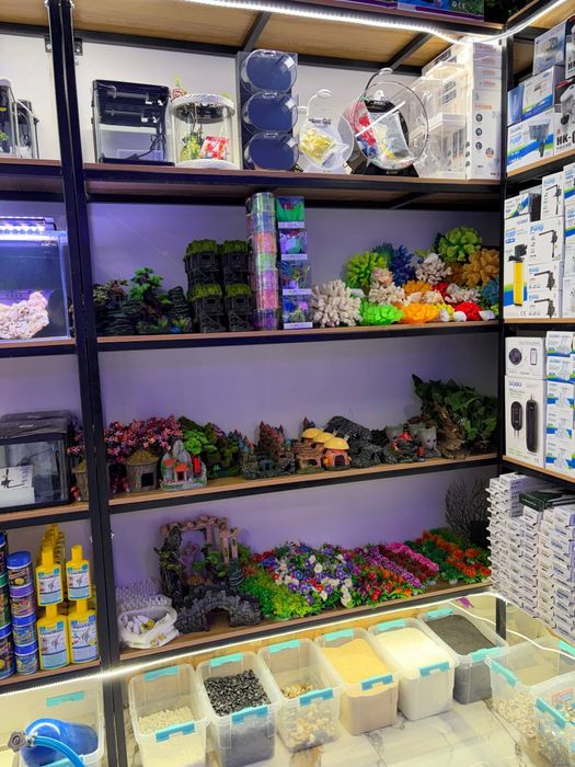 Akvarum va baliq magazin