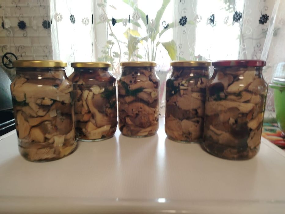 грибы маринованные