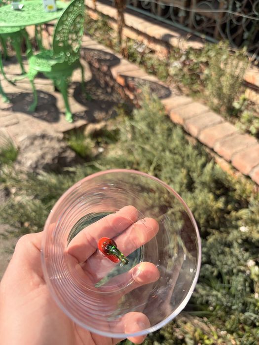 Pahar Ichendorf Milano