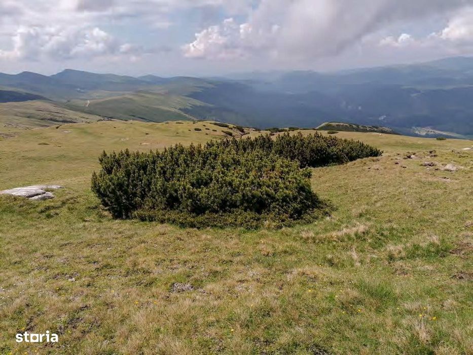 Intravilan ZDD Parc Bucegi 300m² - 600 m² - 1866 m² variante rate/cash