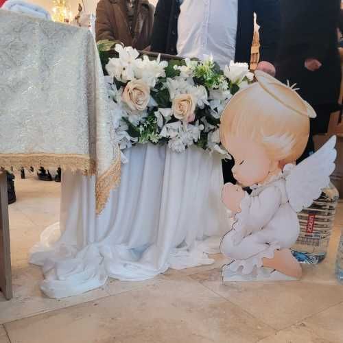 Decor Cristelnita Botez