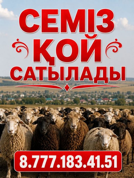 Қой Тоқты Қошқар Ешкі