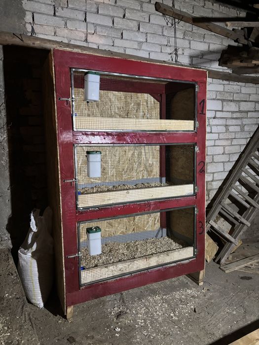 Vand cotete pentru iepuri