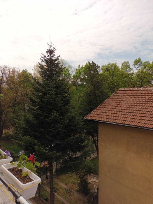 Продава се Тристаен апартамент в София, Гео Милев - 120 кв.м за 2742 €/кв.м - Снимка #11