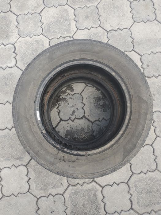 215 60 р16 летние