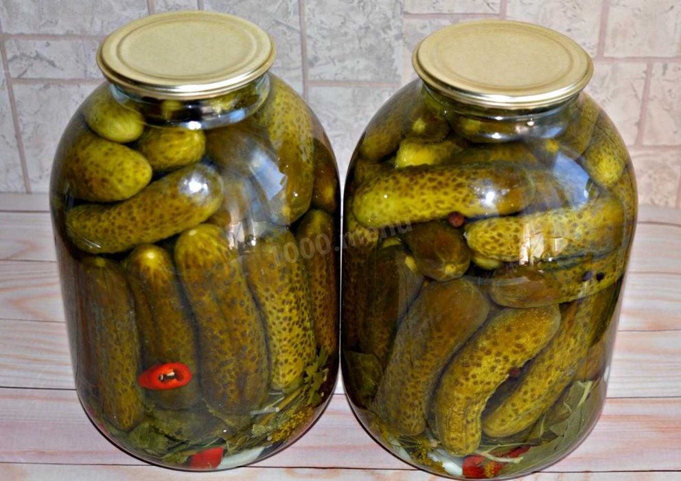 Соленья домашние