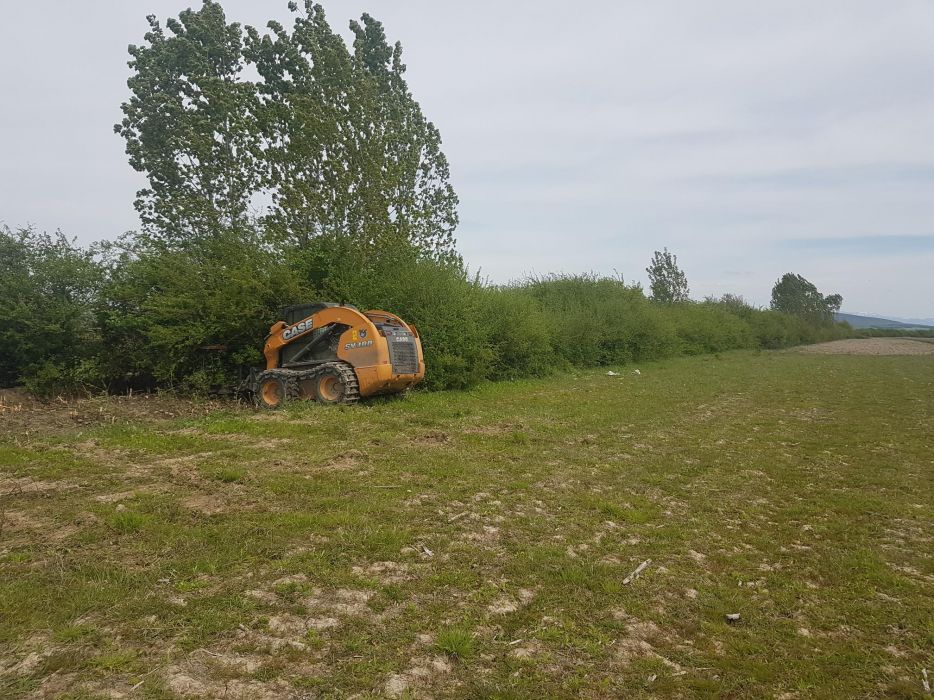 Curățat igienizat  defrisat teren teren sau pășune pasuni tuns gazon