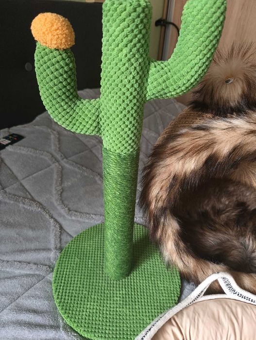 Котешко легло и драскалка