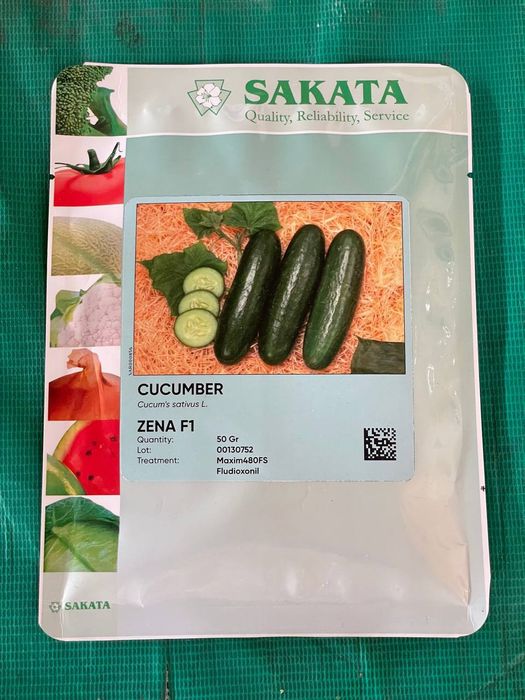 Семена разных видов