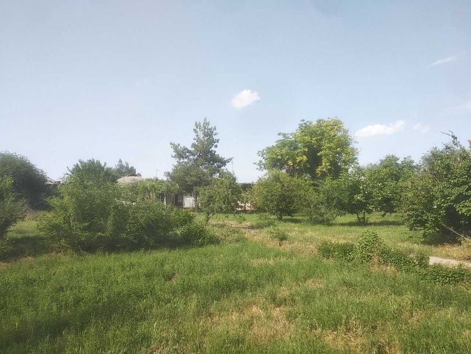 Продается 2 дома с большим участком