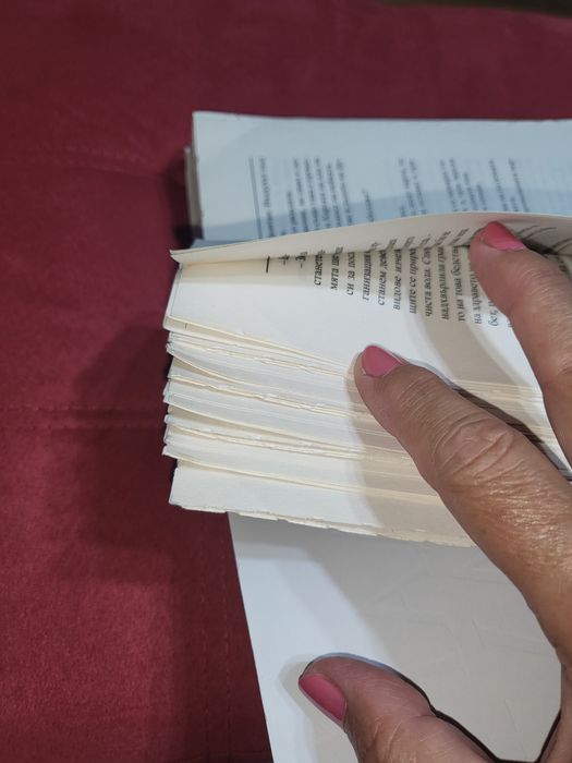 Книга на Дан Браун - АД