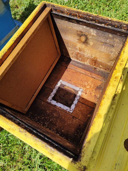 Кошери Дадан Блат и рамки