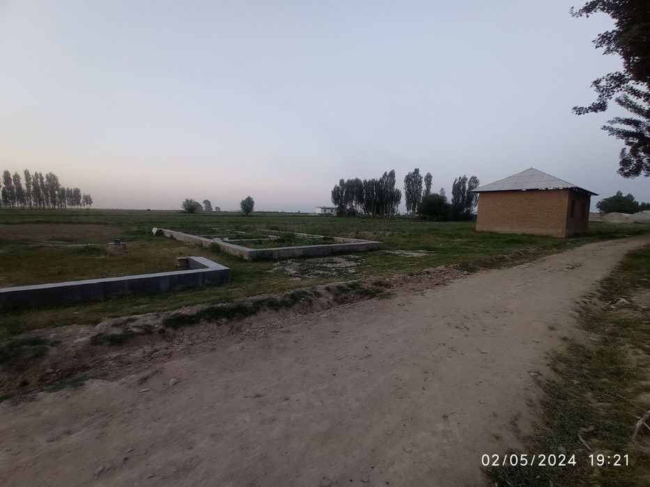 Yer uchaska betoni quyilgan gilos kochat ekilgan trassaga yaqin joyda