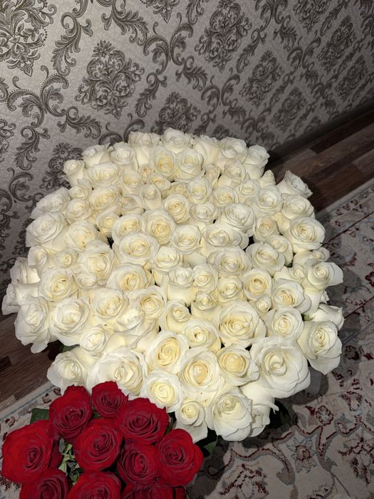 букеты белый розаа