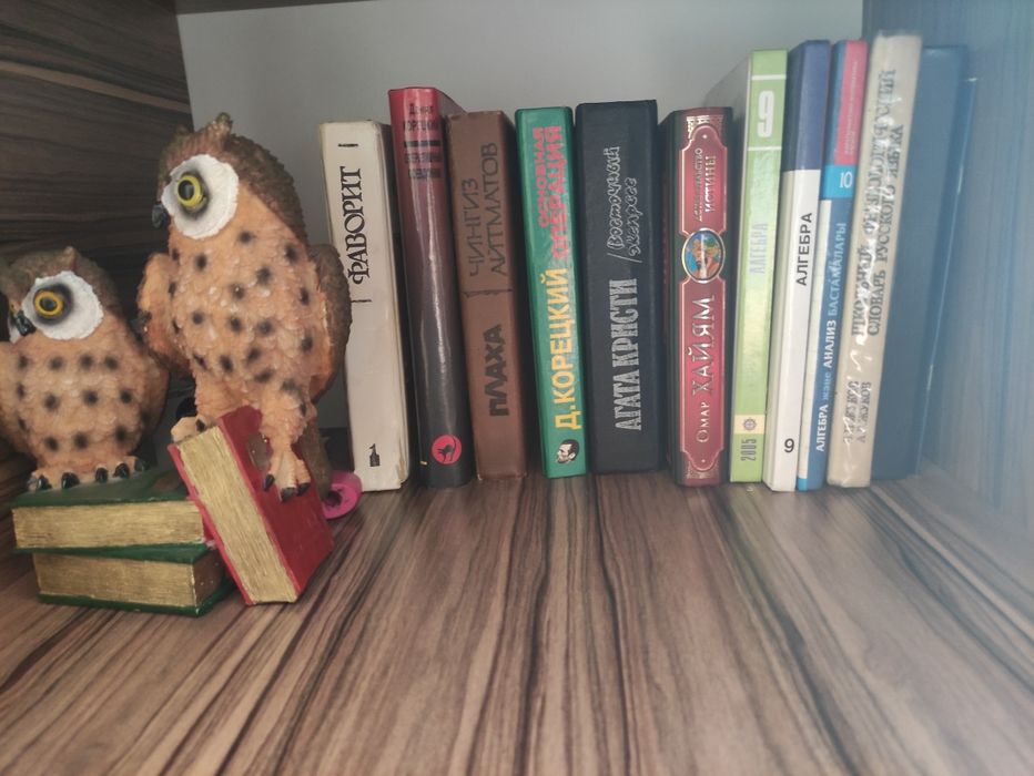 Книги. Посмотрите все фото