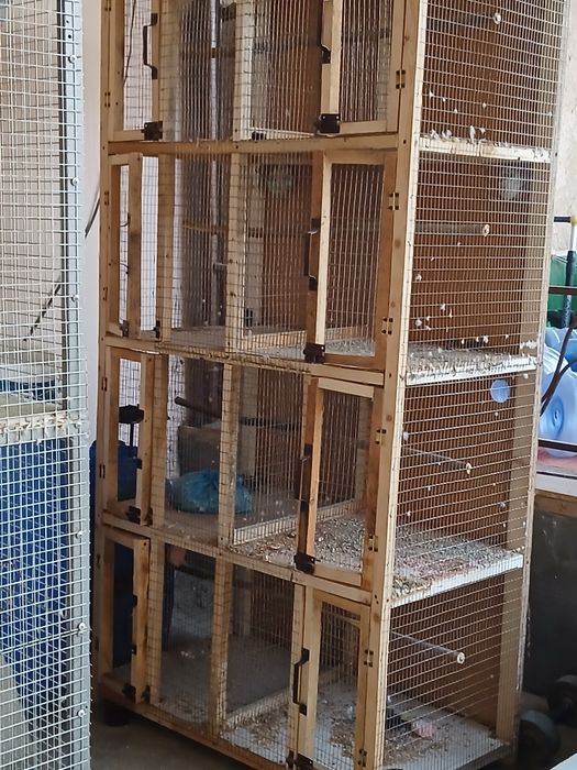 Валер кушлар учун