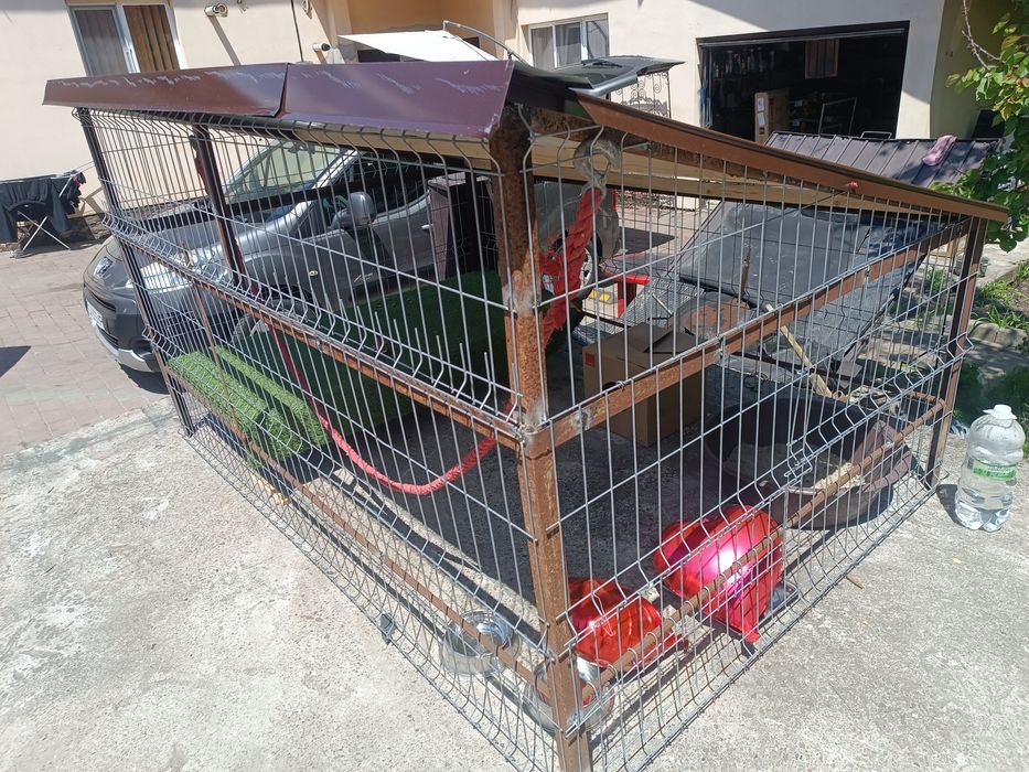 Cușcă metalica păsări , animale etc 2,5/1,8/1,5 Vând/ închiriez