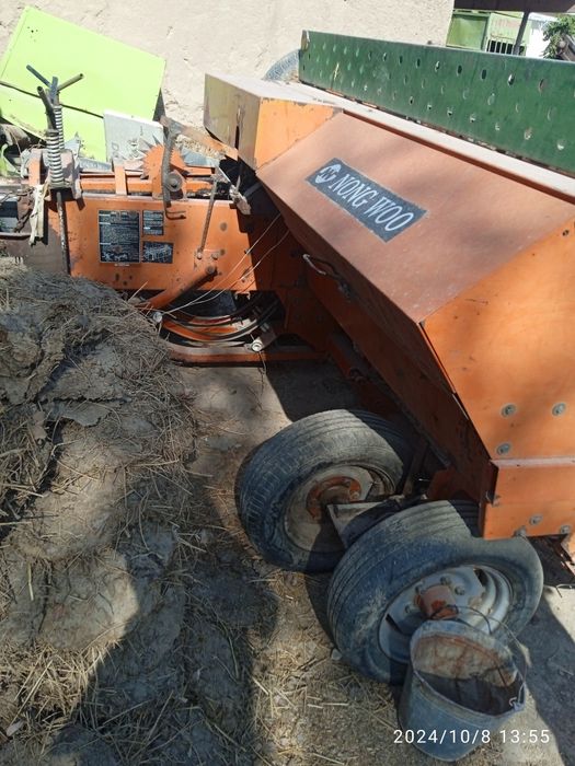 Piris afarati sotladi