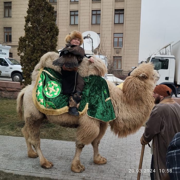 Беркут Наурыз  Юрта