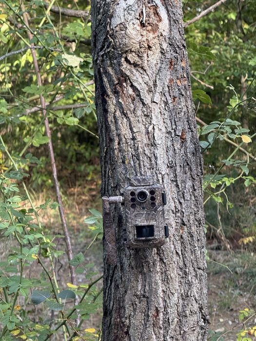 ForestCamLive F6G GPS Temperatura Camera live