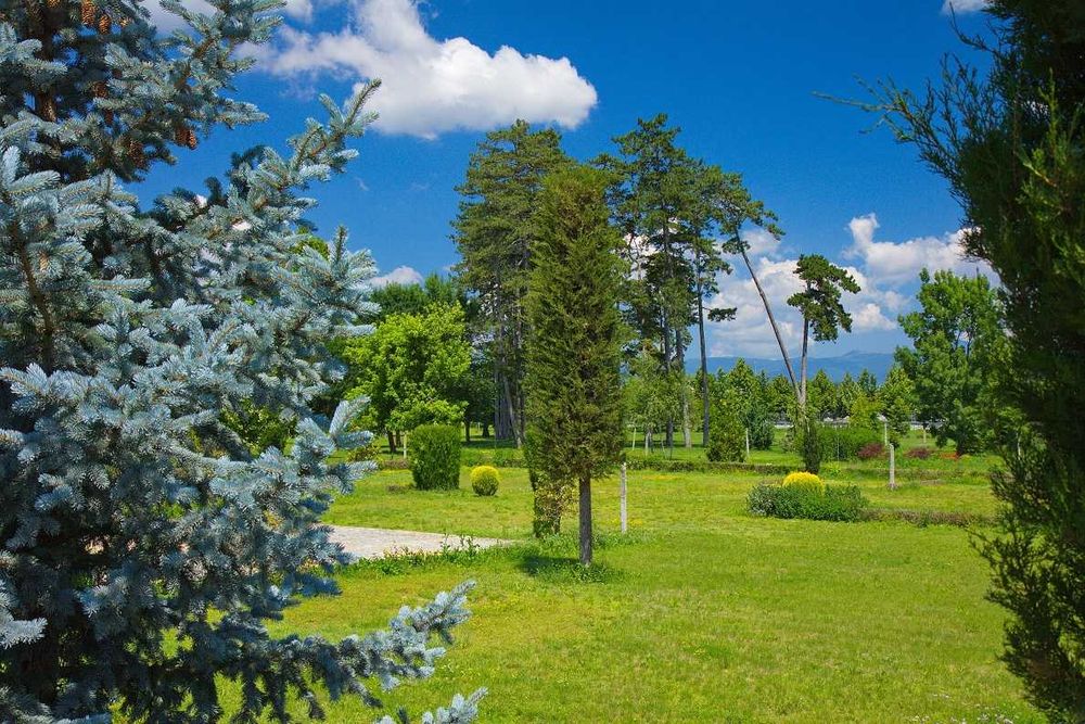 Продава се Парцел в с. Овощник, Област Стара Загора - 3000 кв.м за 100 €/кв.м - Снимка #11