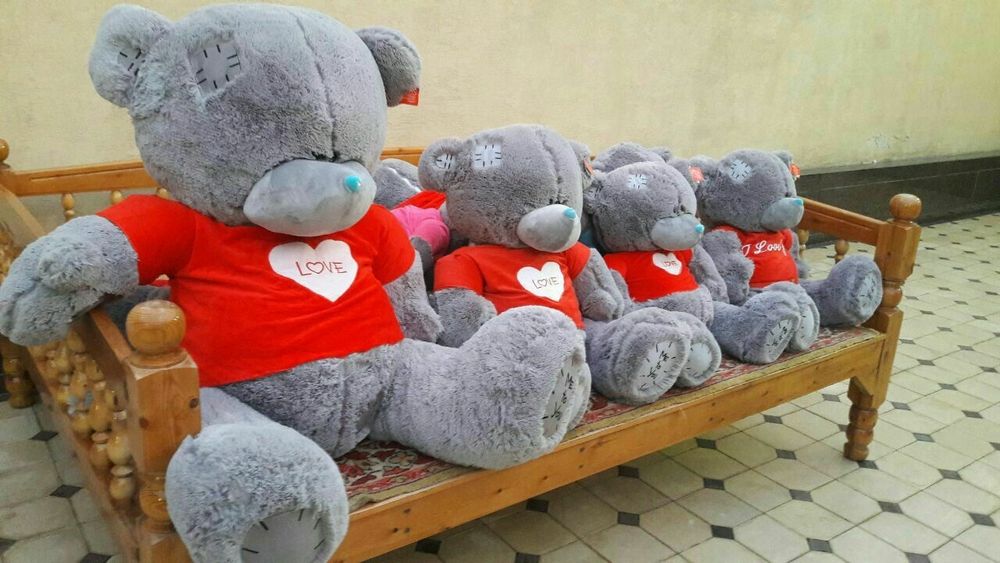Teddy Teddi 1+1 Eng Arzon Narxlarda