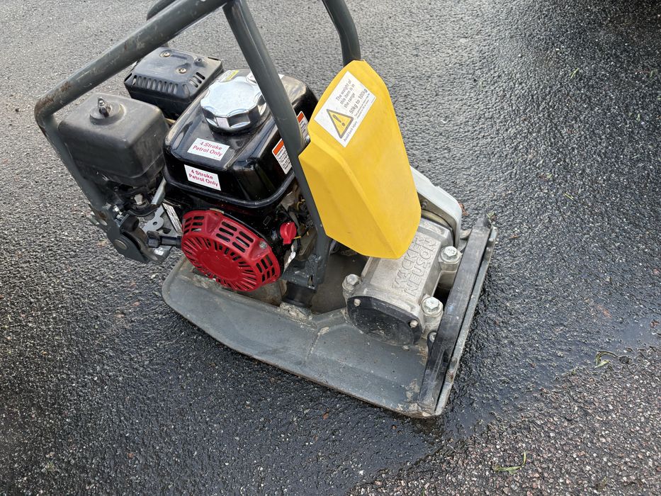 Talpa de batut Wacher 2022