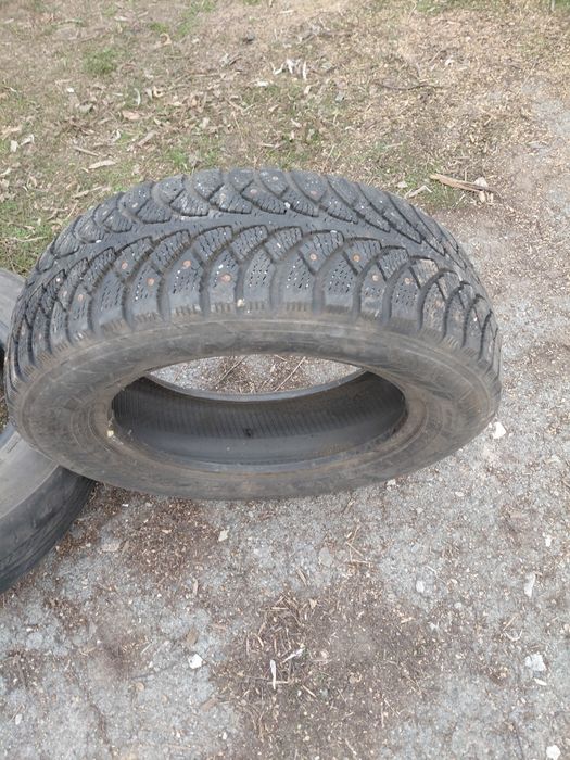 Продам шину шипованная