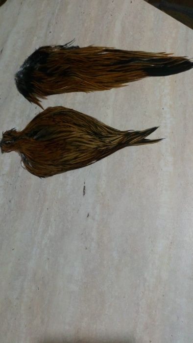 продам скальп и седло петушков