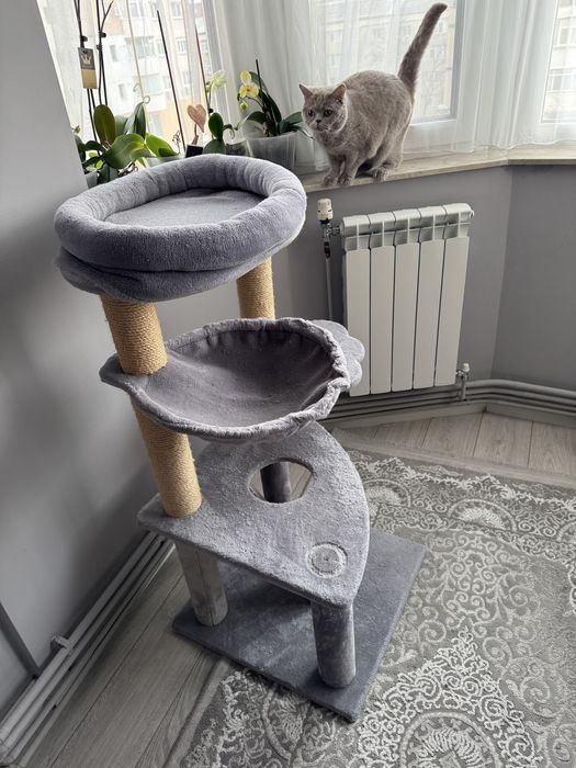 Stativ pentru pisici