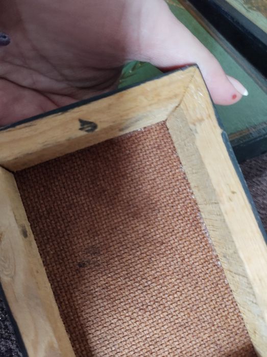 6 picturi originale artist popular mexican Arturo Alcala - „Păsări”