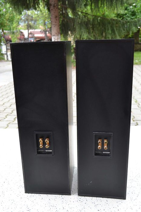 Boxe B&W model DM 620