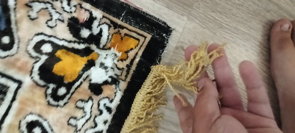 Carpeta răpirea din serai
