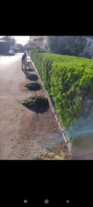 Generalniy uborka xovlida