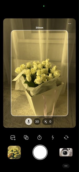 розы свежие,25шт