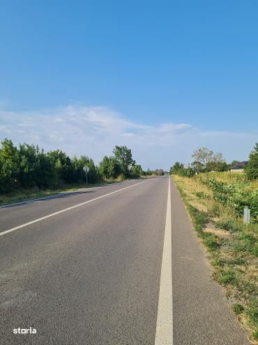 Teren suprafata 5 500 mp Albota- Cerbu