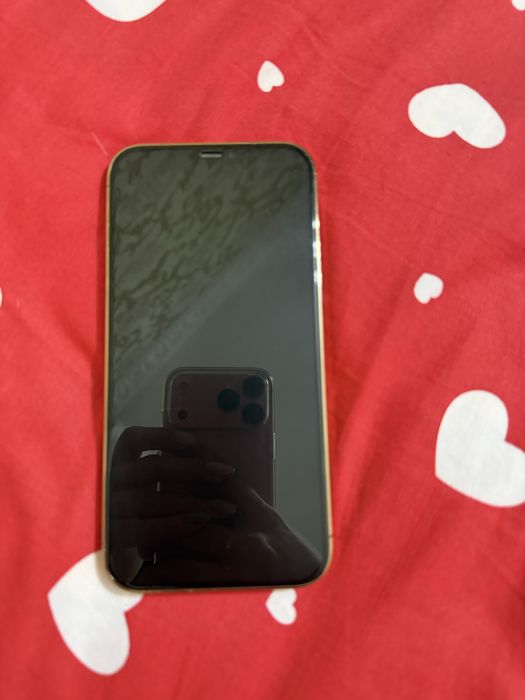 iPhone 12 Pro Max 256 GB