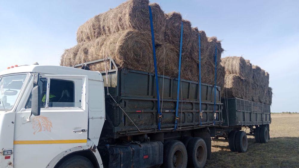 Продам сено рулон