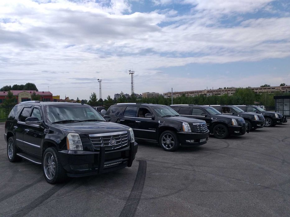 Аренда авто/ Прокат автомобилей с водителем/ Аренда автомобилей.